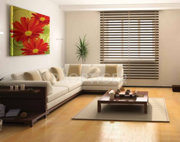 Images for Main Other of SDC Aura