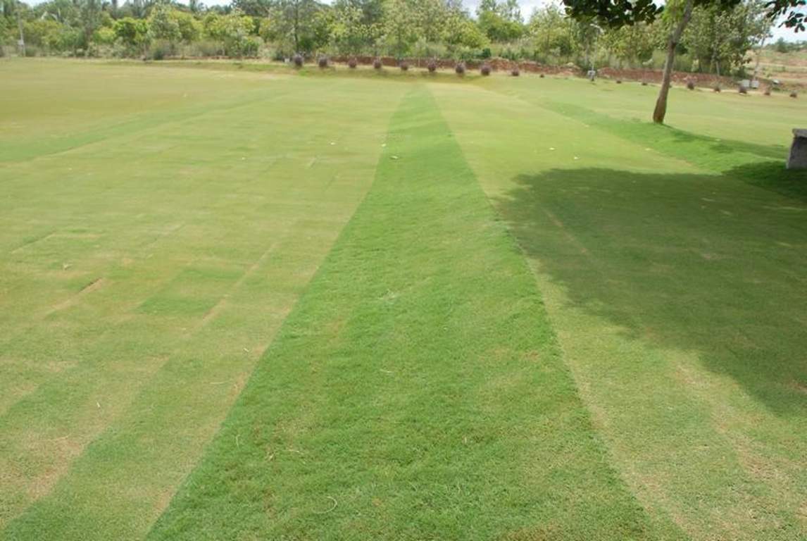 Images for Amenities of Skytop Golf Village Villas