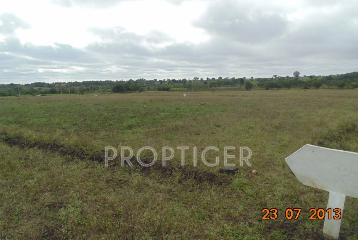 Images for Main Other of San Lake View