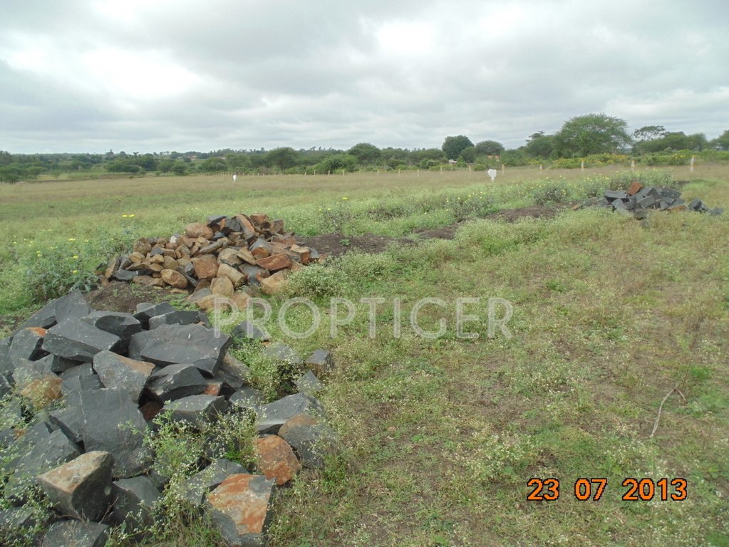 Images for Main Other of San Lake View