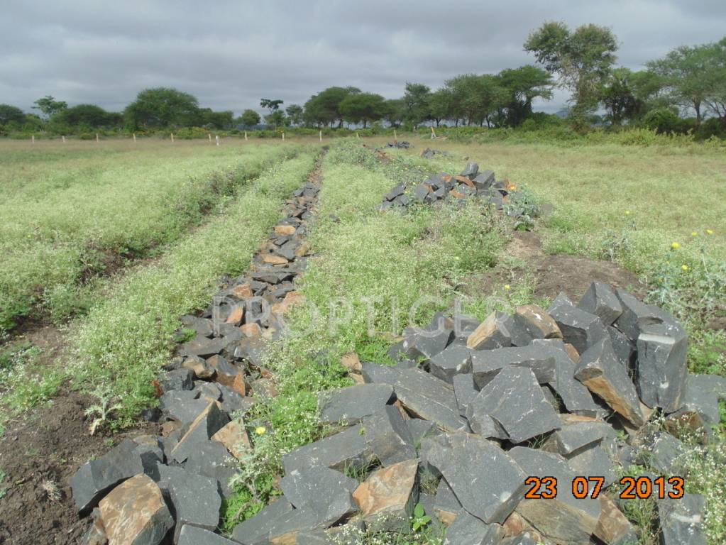 Images for Main Other of San Lake View