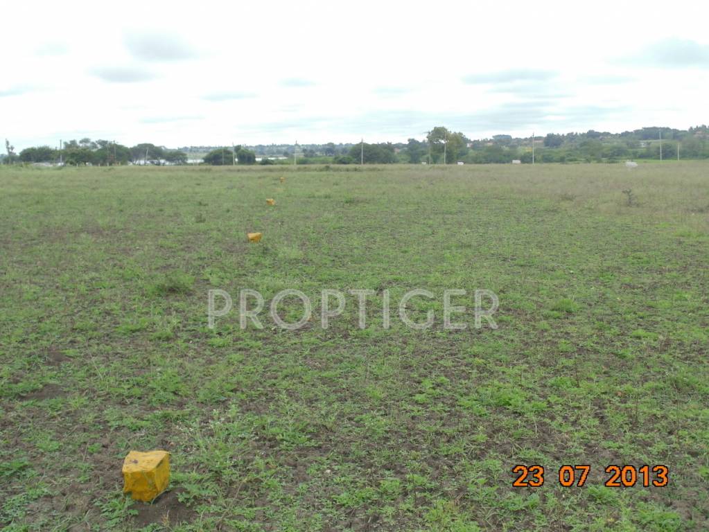 Images for Main Other of San Lake View