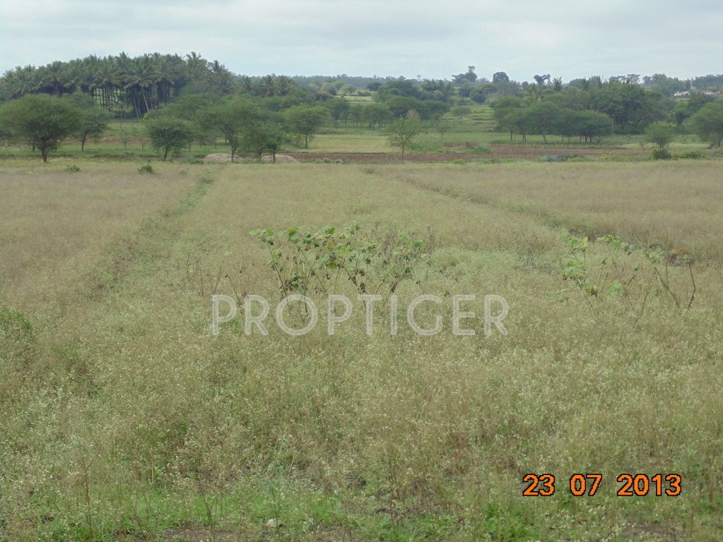 Images for Main Other of San Lake View