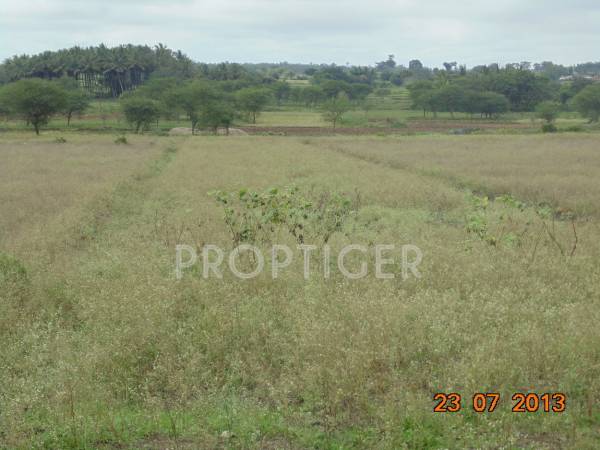 Images for Main Other of San Lake View Images for Main Other of San Lake View