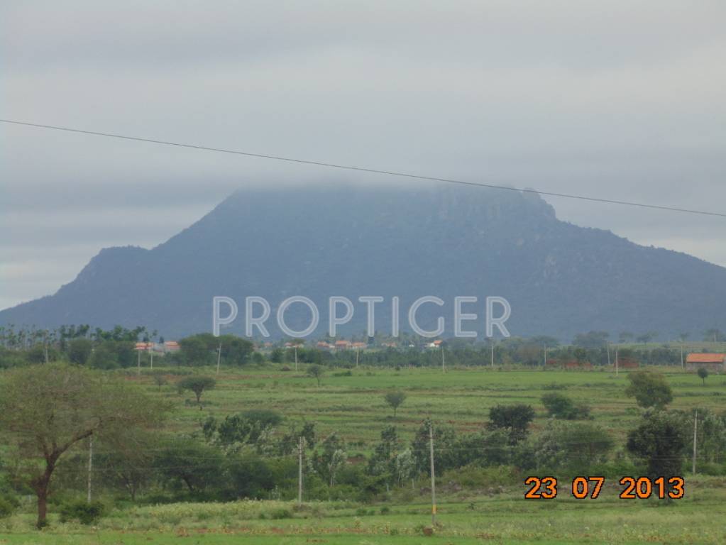 Images for Main Other of San Lake View