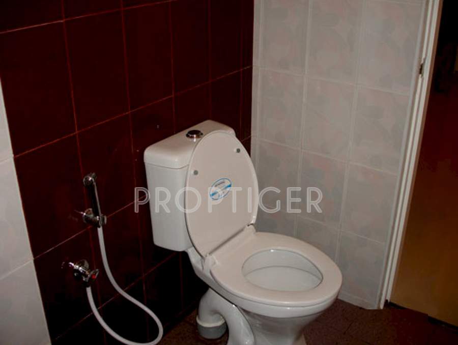 Images for Main Other of Global Habitat Pvt Ltd Daffodil