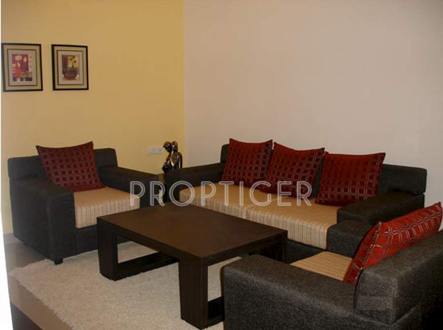 Images for Main Other of Global Habitat Pvt Ltd Daffodil