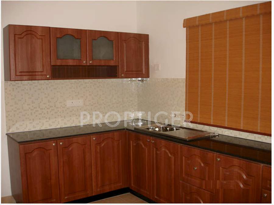 Images for Main Other of Global Habitat Pvt Ltd Daffodil