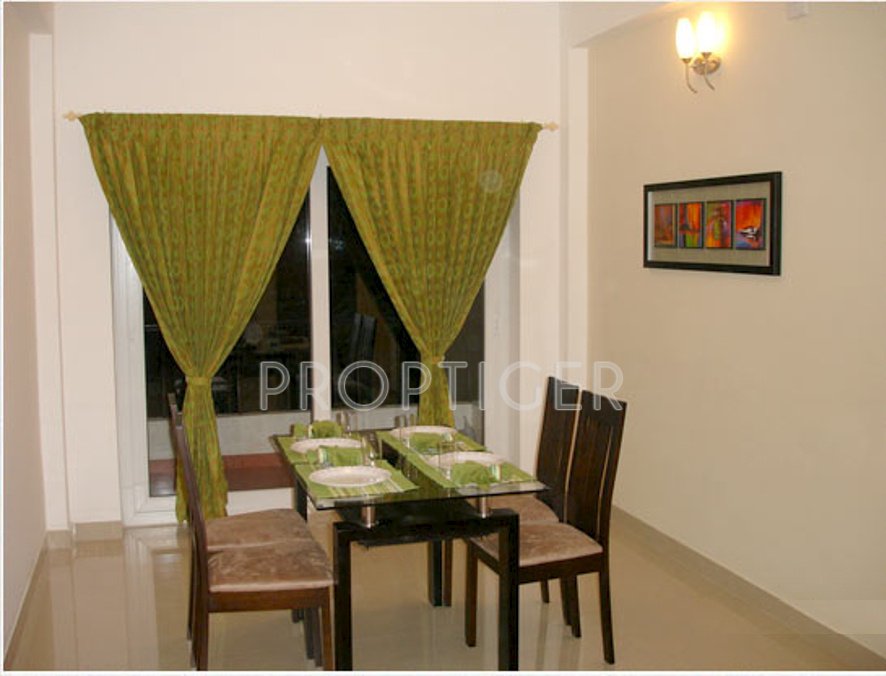 Images for Main Other of Global Habitat Pvt Ltd Daffodil