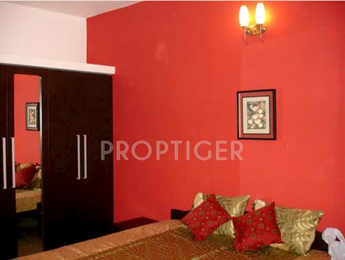 Images for Main Other of Global Habitat Pvt Ltd Daffodil