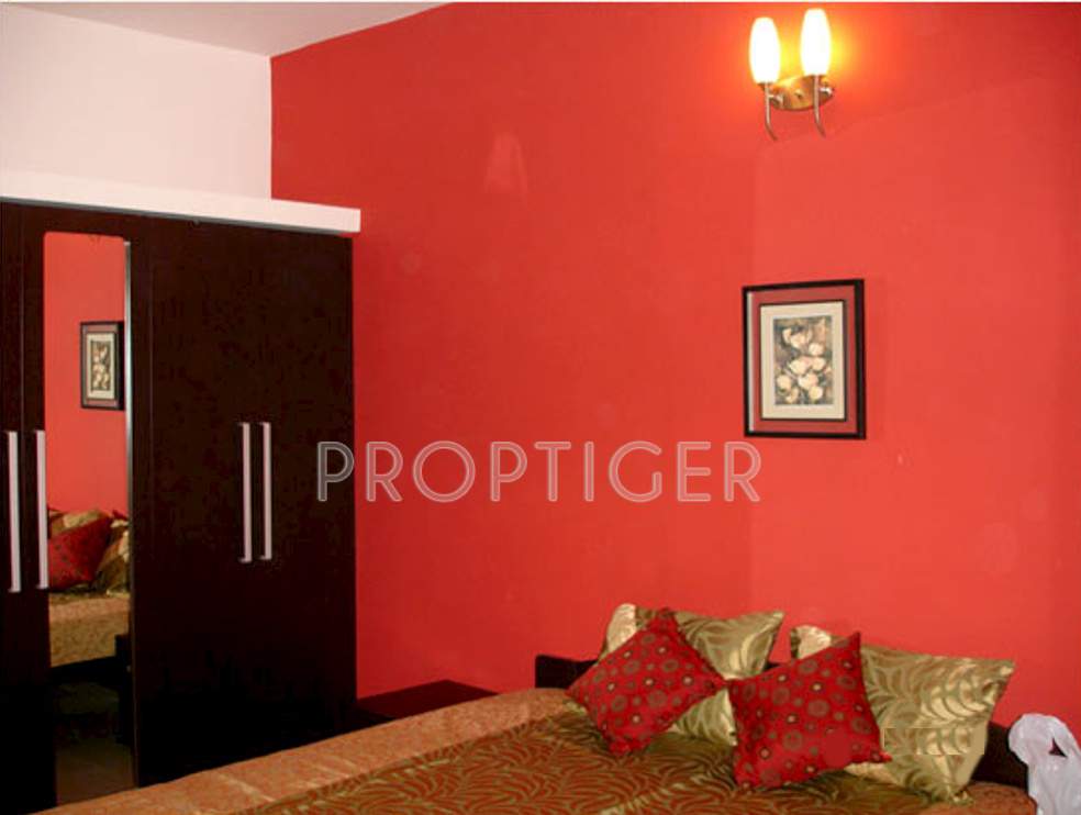 Images for Main Other of Global Habitat Pvt Ltd Daffodil