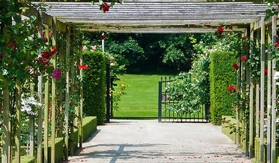 Elevation royal-estate Elevation