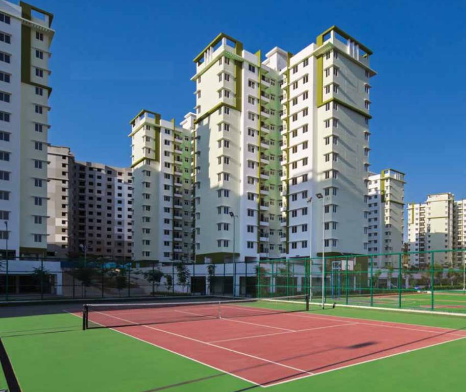 Images for Elevation of Provident Rays of Dawn