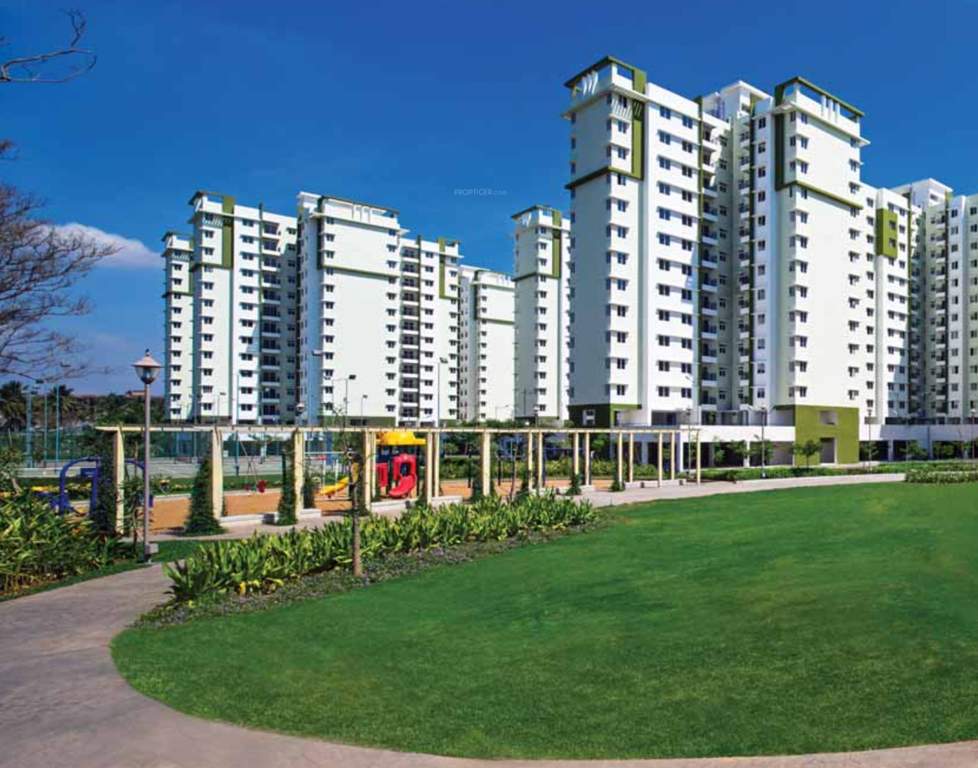  rays of dawn Images for Elevation of Provident Rays of Dawn