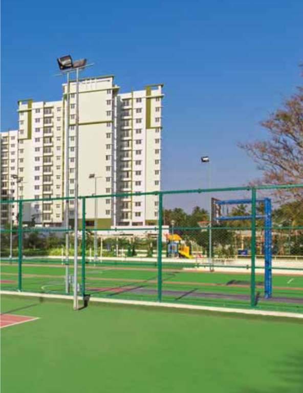  rays of dawn Images for Elevation of Provident Rays of Dawn