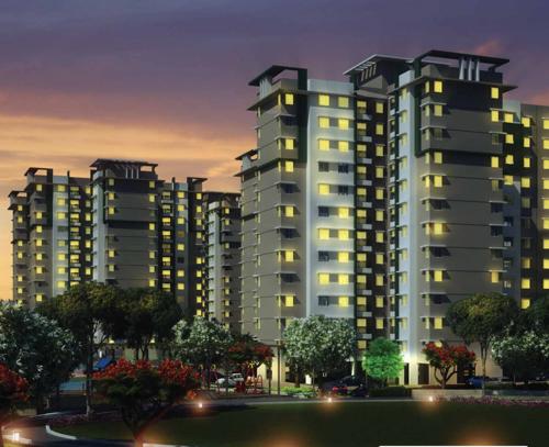 Images for Elevation of Provident Rays of Dawn rays-of-dawn Images for Elevation of Provident Rays of Dawn