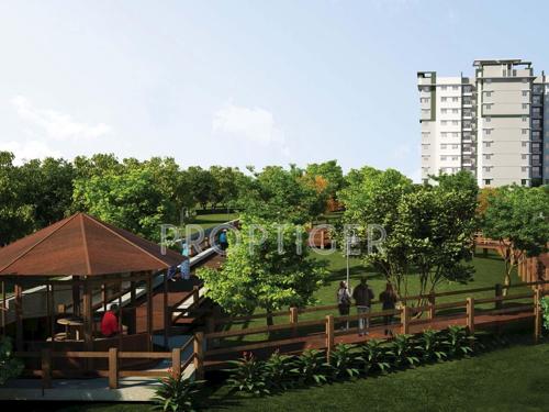 Images for Amenities of Provident Rays of Dawn Images for Amenities of Provident Rays of Dawn