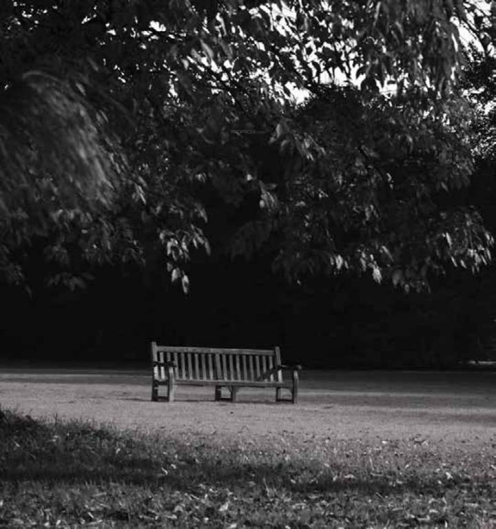 Images for Amenities of Provident Rays of Dawn