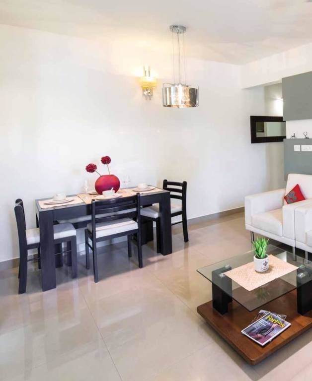 Images for Main Other of Provident Rays of Dawn