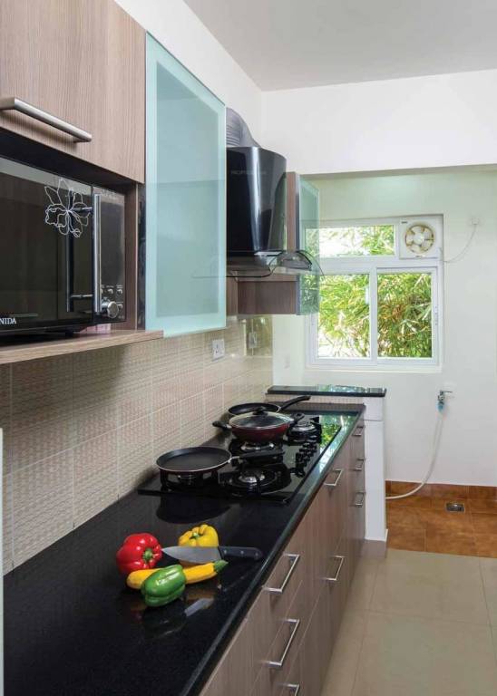 Images for Main Other of Provident Rays of Dawn