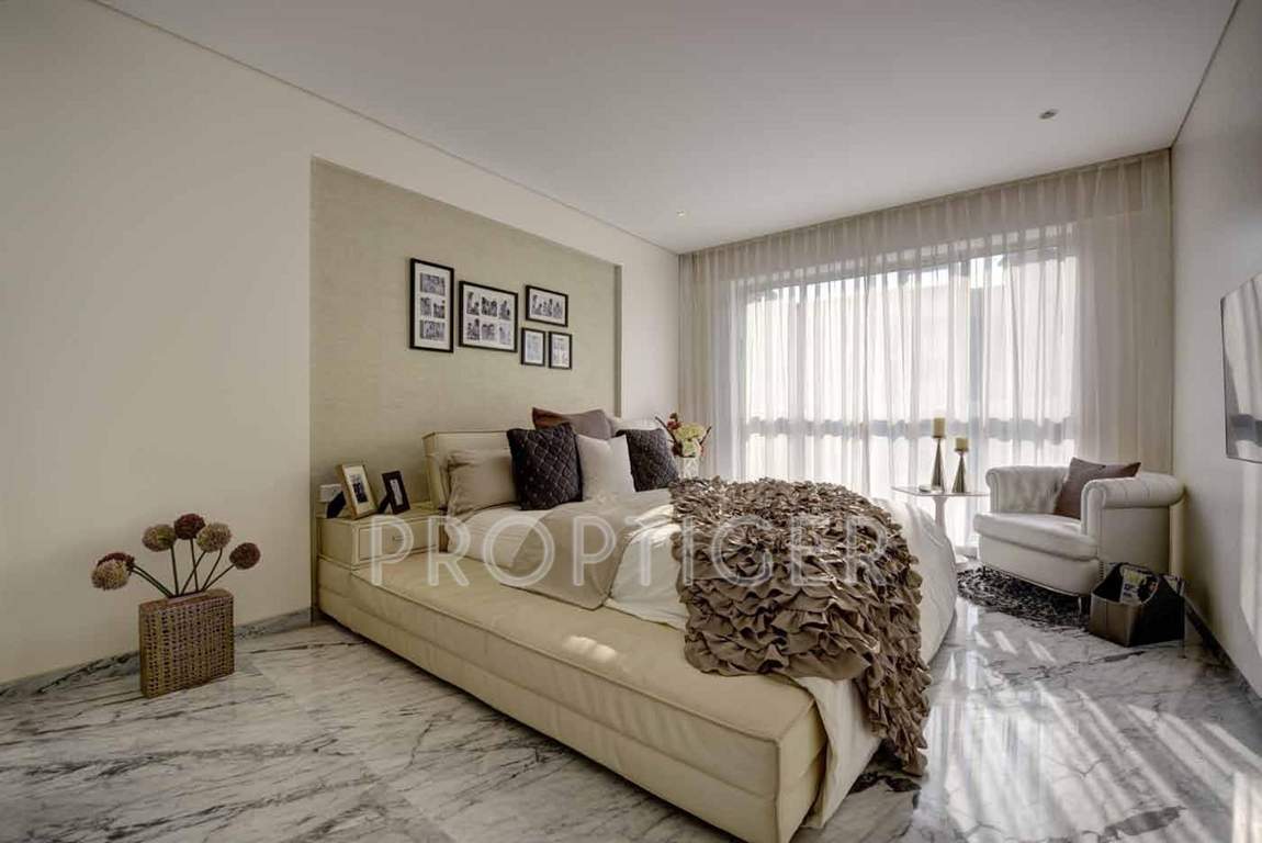  apostrophe Images for Main Other of Apex Apostrophe