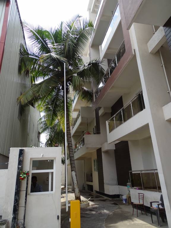  blossom Images for Project