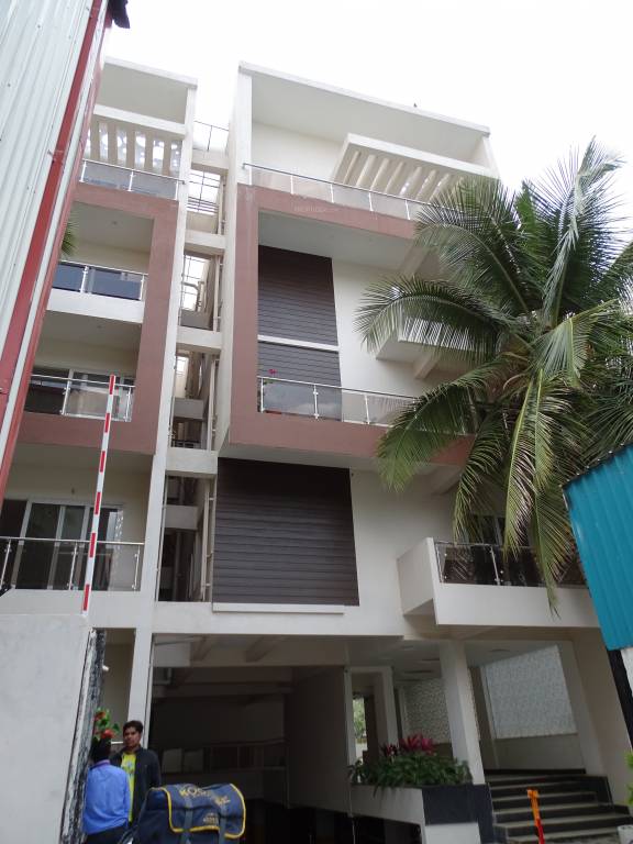  blossom Images for Project