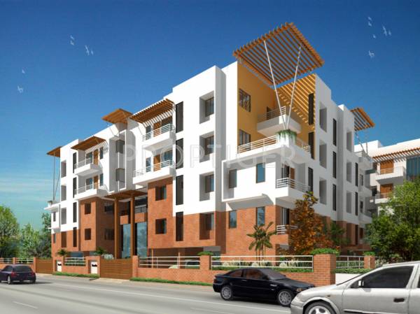 Images for Elevation of Coromandel Coral Roselin