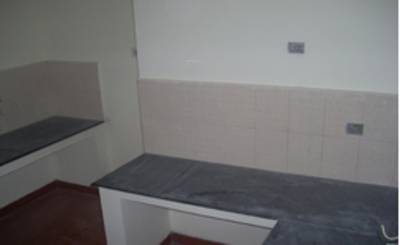 Images for Main Other of Coromandel Coral Roselin