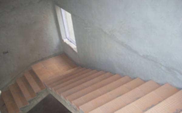 Images for Main Other of Coromandel Coral Roselin Images for Main Other of Coromandel Coral Roselin