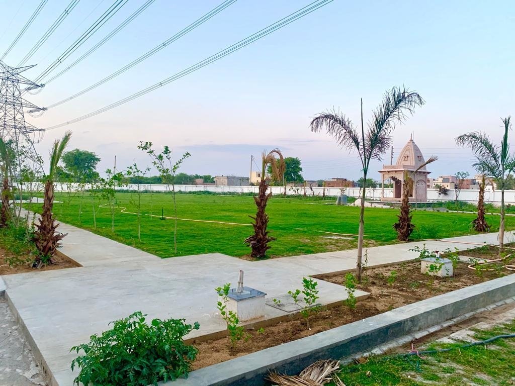  36 Landscape Garden and Tree Planting