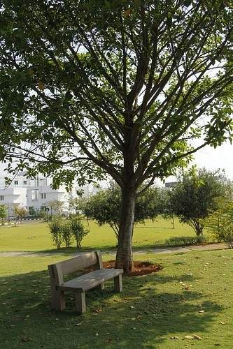 a la maison annexe Images for Amenities of Ashoka A La Maison Annexe