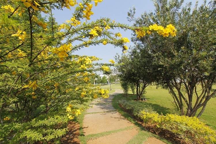 Images for Amenities of Ashoka A La Maison Annexe