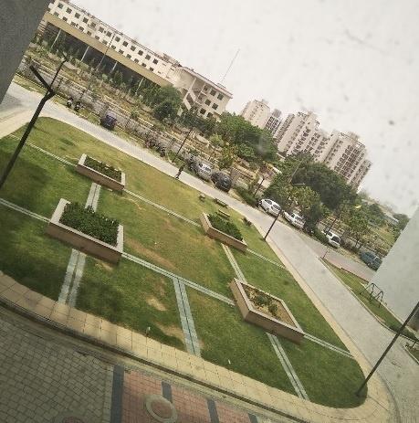 Landscape Garden and Tree Planting celebrity-greens Landscape Garden and Tree Planting