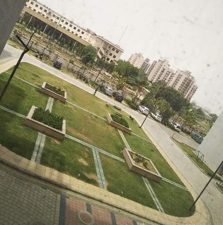 celebrity greens Landscape Garden and Tree Planting