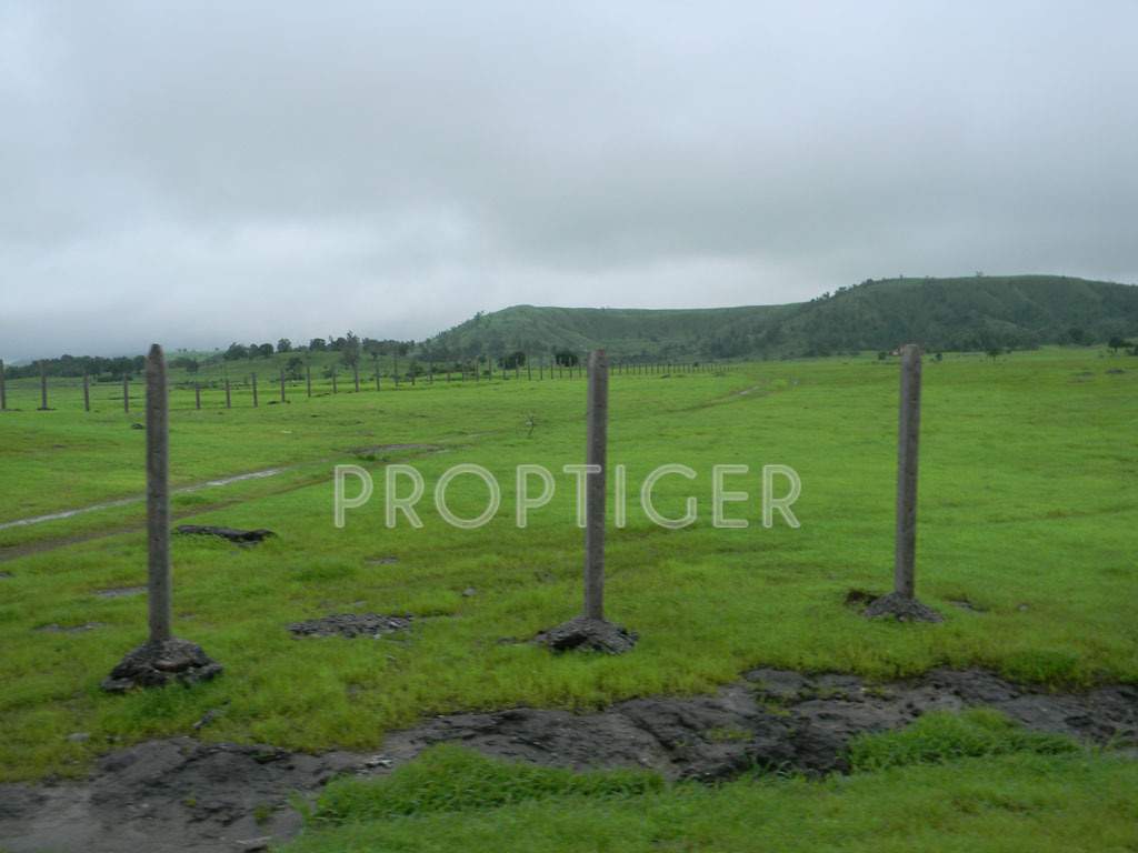 Images for Main Other of Khabiya Sapphire Garden