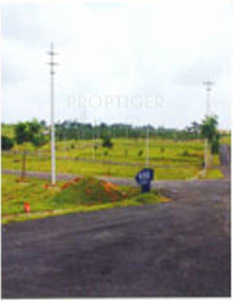 pragathi-group nesara Main Other