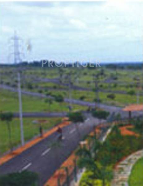 pragathi-group nesara Main Other