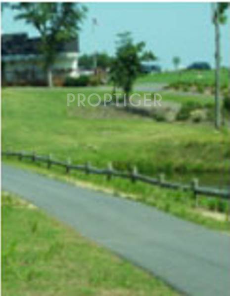 paradise-group paradise Main Other