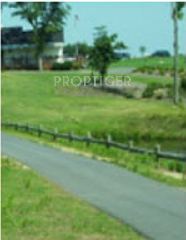 paradise group paradise Main Other