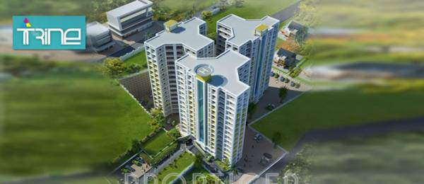 Images for Elevation of Flairalliance Trine Phase 2