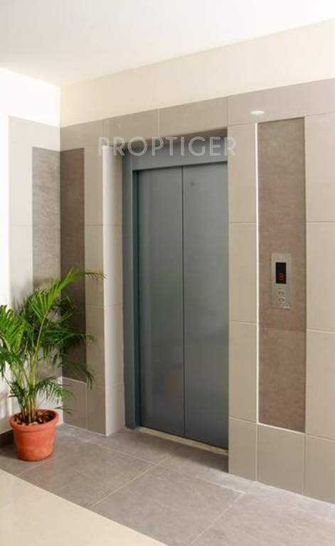  bluechip Images for Main Other of ABAD Bluechip