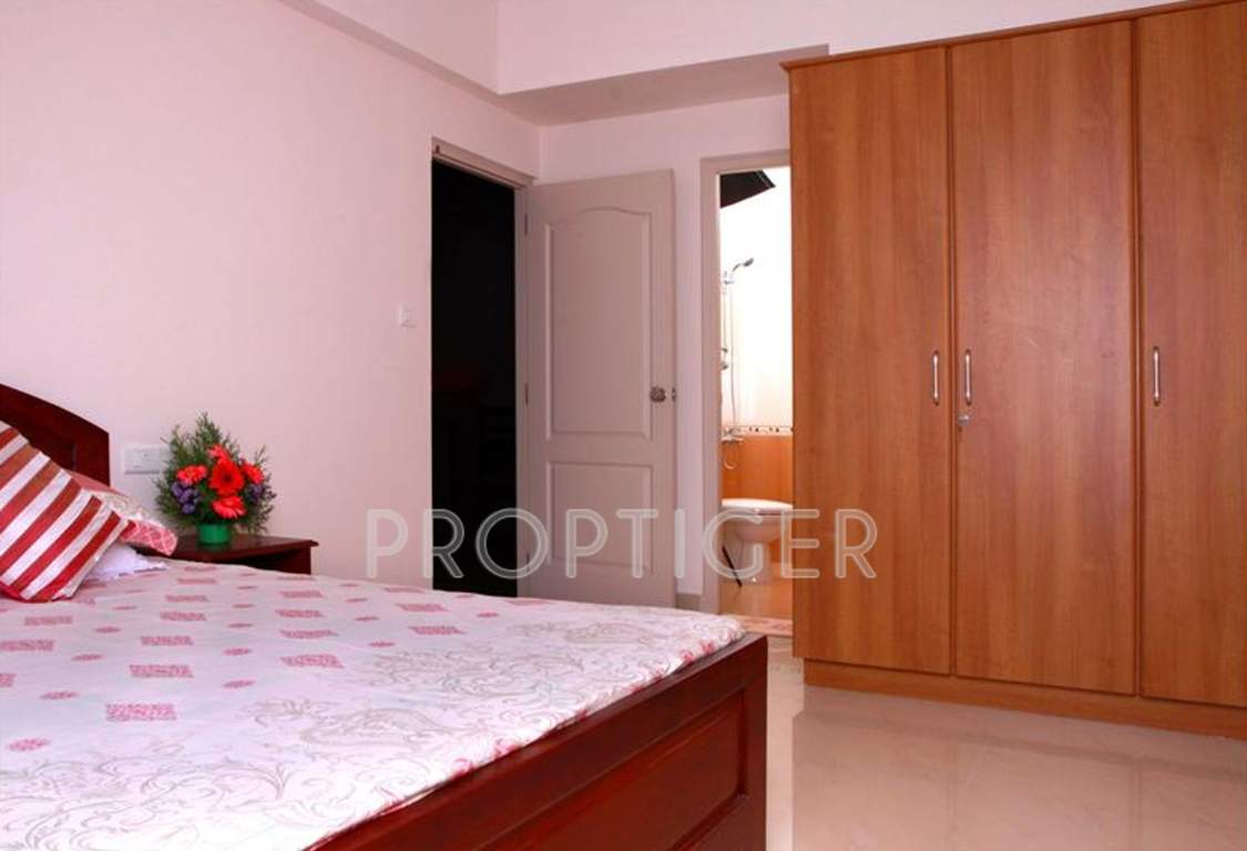  bluechip Images for Main Other of ABAD Bluechip