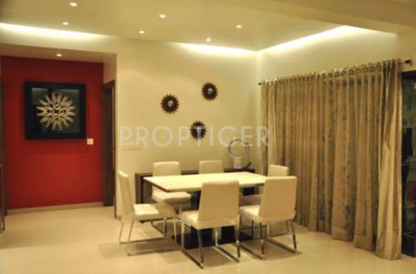 Images for Main Other of Vishranti Tulips Images for Main Other of Vishranti Tulips