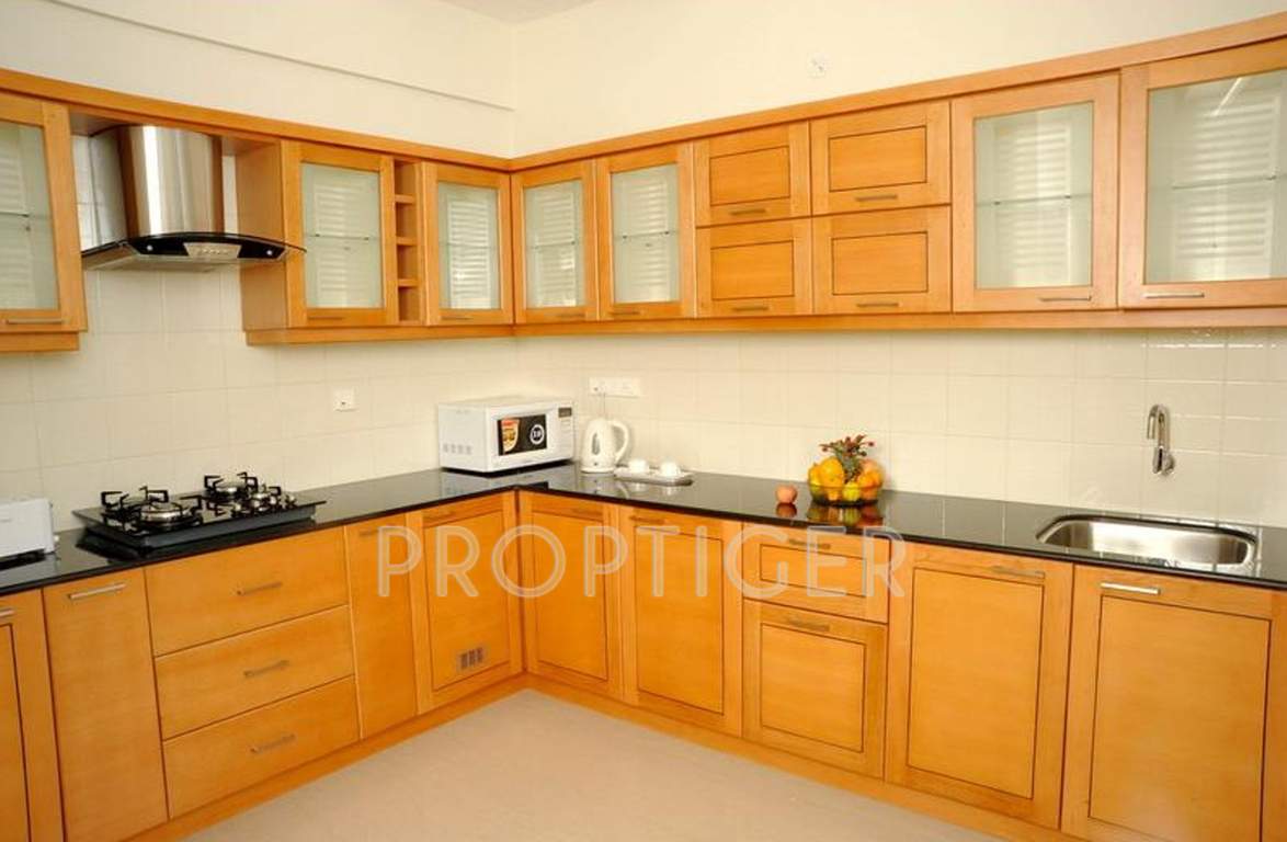 Images for Main Other of ABAD The Chancellor