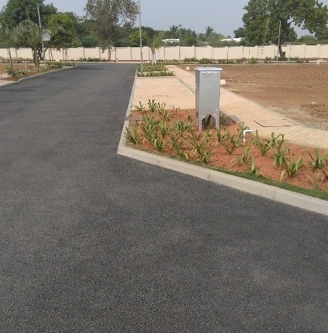  evergreen-plots Elevation