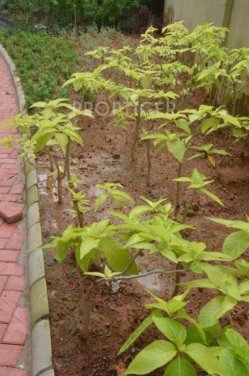 vantage Images for Amenities of Infra Housing Vantage