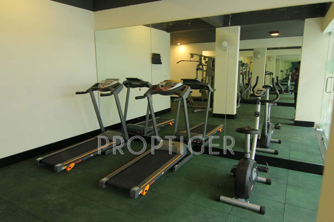 Images for Amenities of Asset Patio