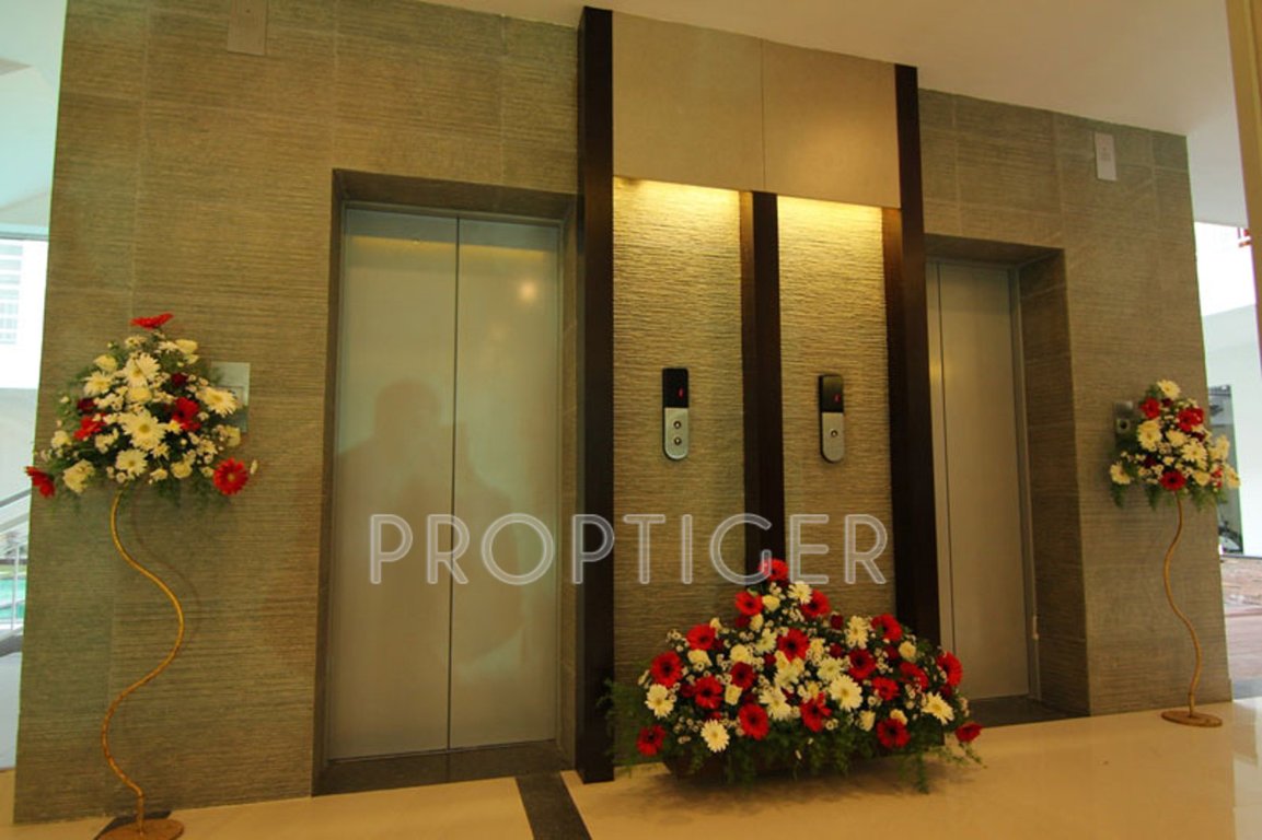 Images for Main Other of Asset Patio