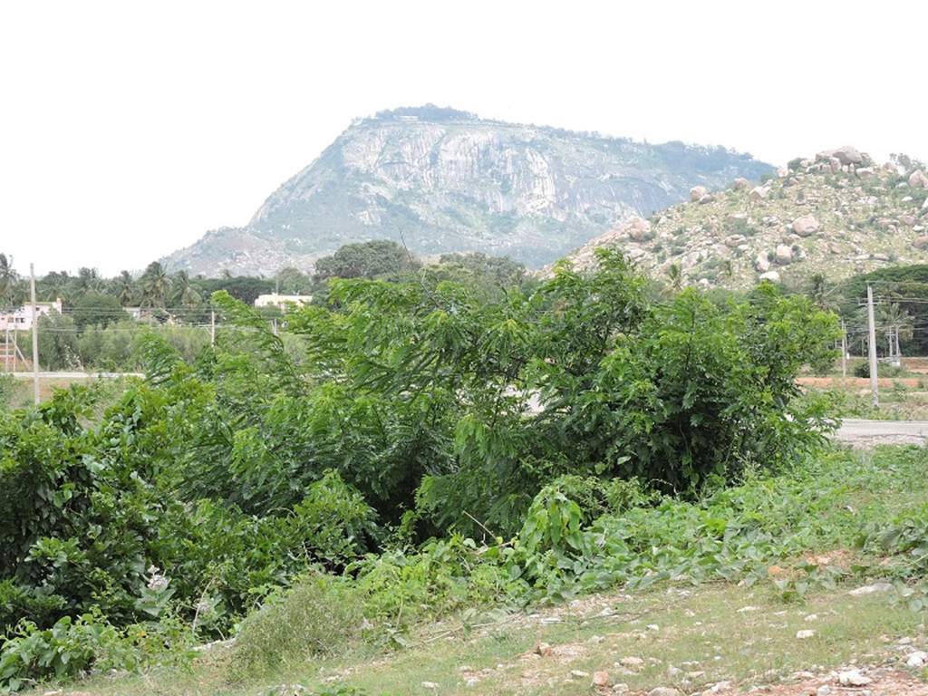 Images for Main Other of Wellnest Skandagiri County